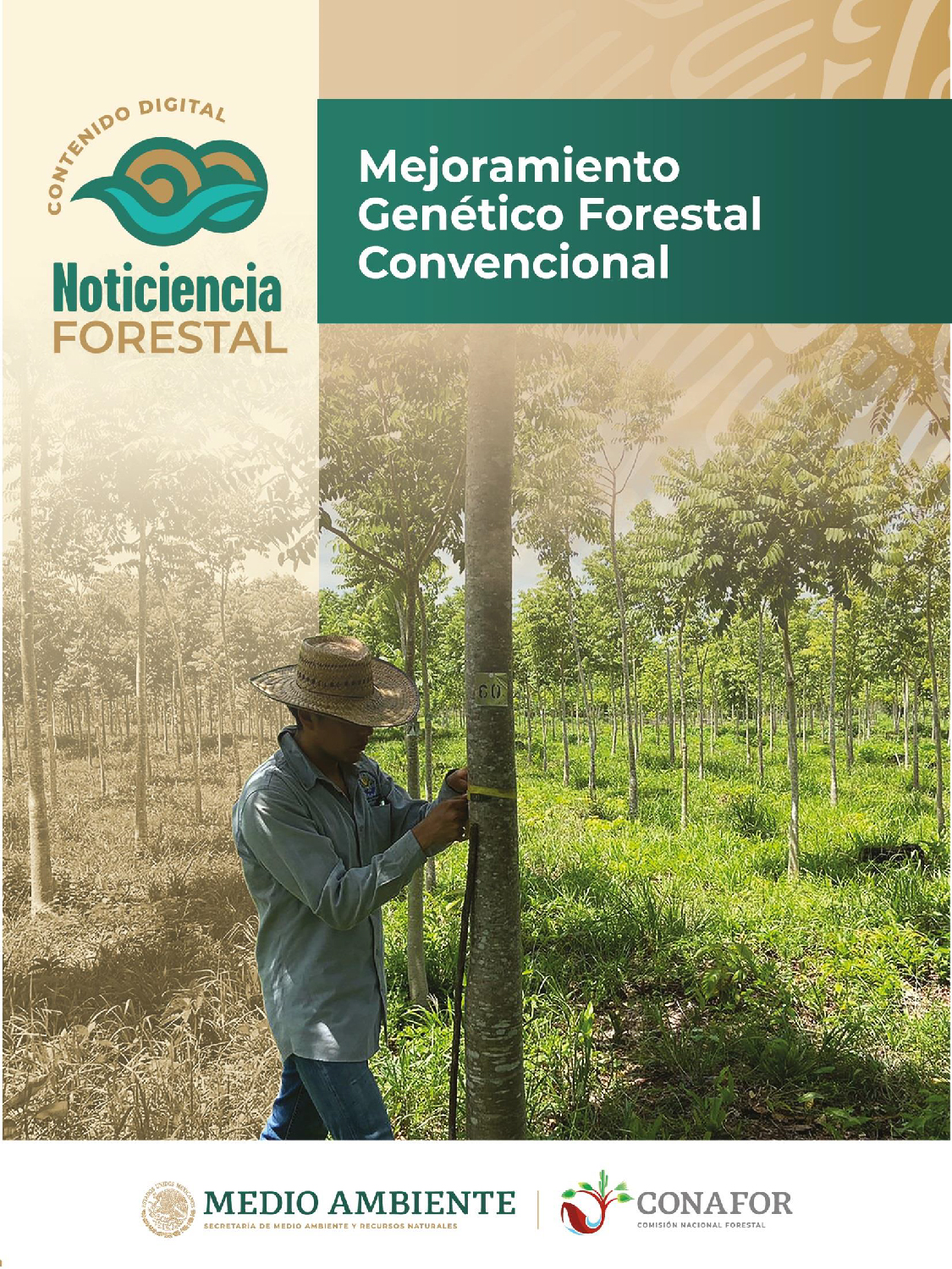 Noticiencia Forestal 4ta edición idefor cnf gob mx